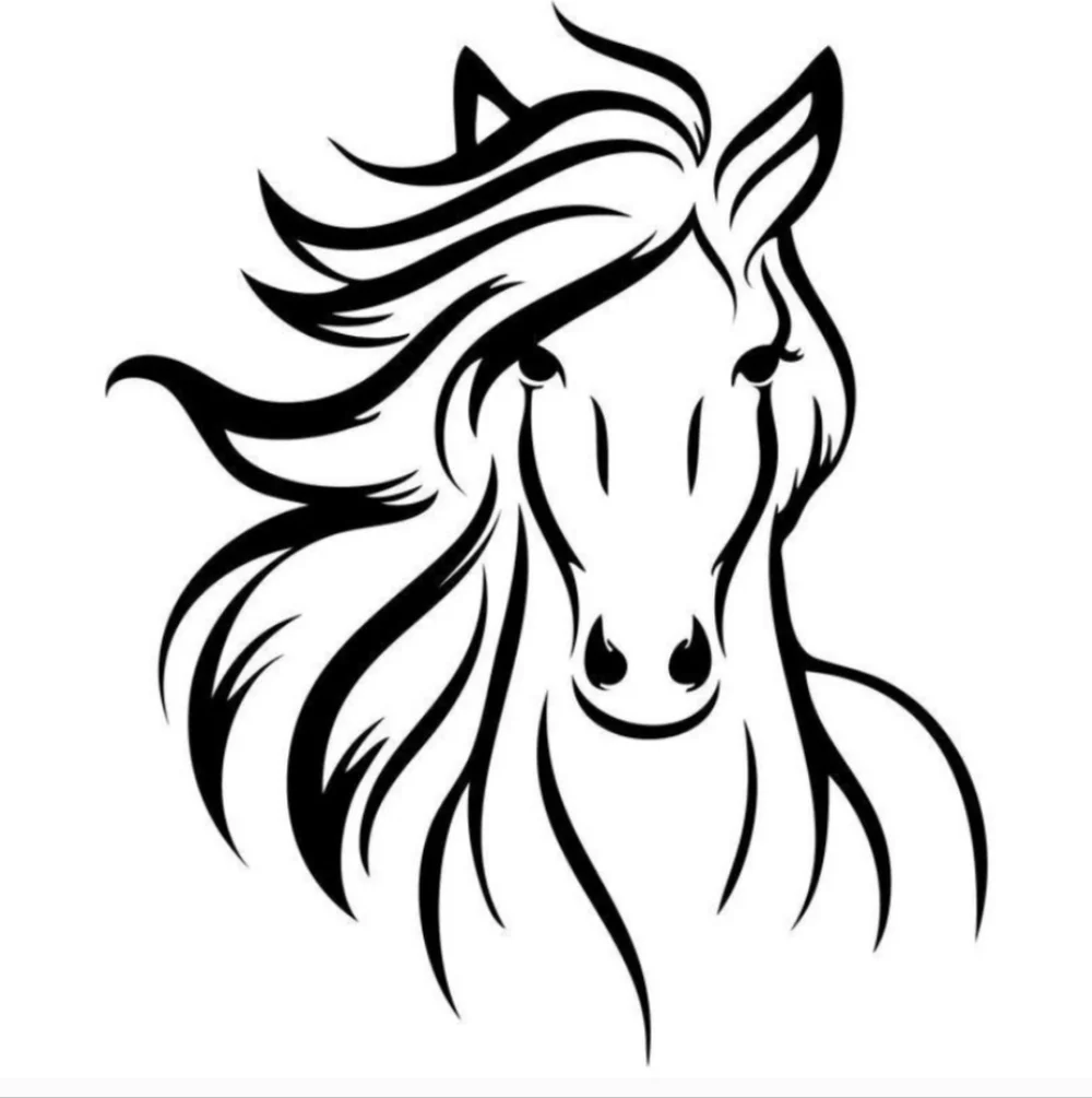 Wild Horse Animal Vinyl Graphic Auto Laptop Car Wall‎ Decor Decal Bumper Sticker